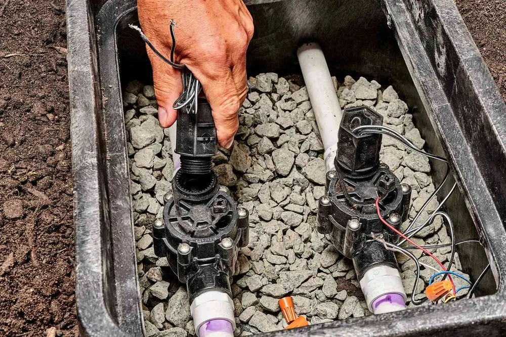 Expert residential landscaping for year-round maintenance across Laguna Beach, CA - Earth People LandCare