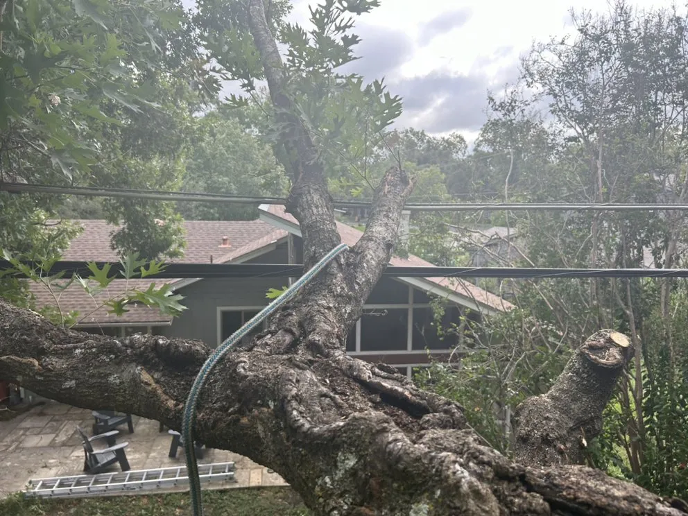 Reliable residential landscaping experts serving Austin, TX - Earth Roots Tree Services & Construction