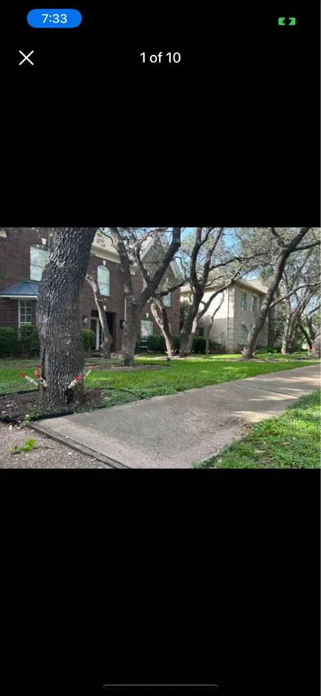 Reliable yard cleanup service in Austin, TX - Earth Roots Tree Services & Construction