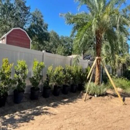 Top-rated outdoor landscaping in Pensacola, FL - Earth Scape