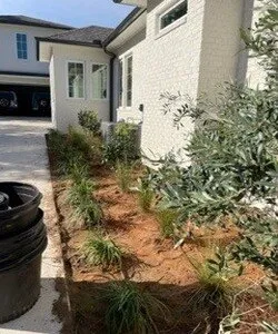 Expert yard maintenance for beautiful yards across Pensacola, FL - Earth Scape