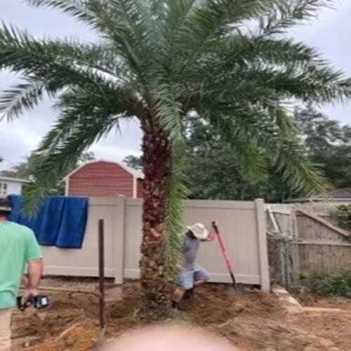 Reliable garden landscaping with custom design across Pensacola, FL - Earth Scape