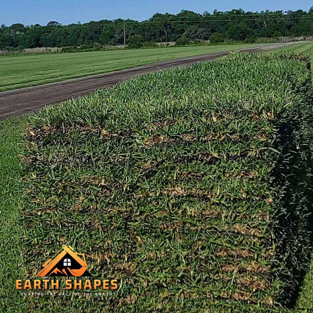 Expert residential landscaping near you in Bradenton, FL by Earth Shapes