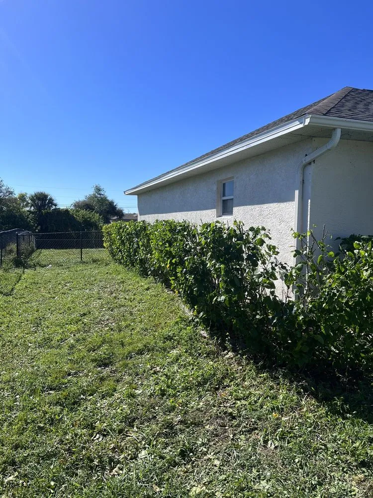 Trusted yard maintenance for homes across Bradenton, FL - Earth Shapes