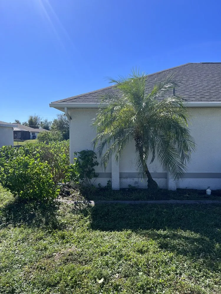 Reliable lawn care service for beautiful yards across Bradenton, FL - Earth Shapes