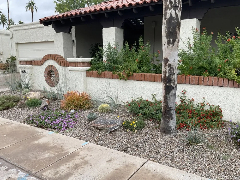 Top-rated outdoor landscaping near you across Mesa, AZ - Earth Smart Design