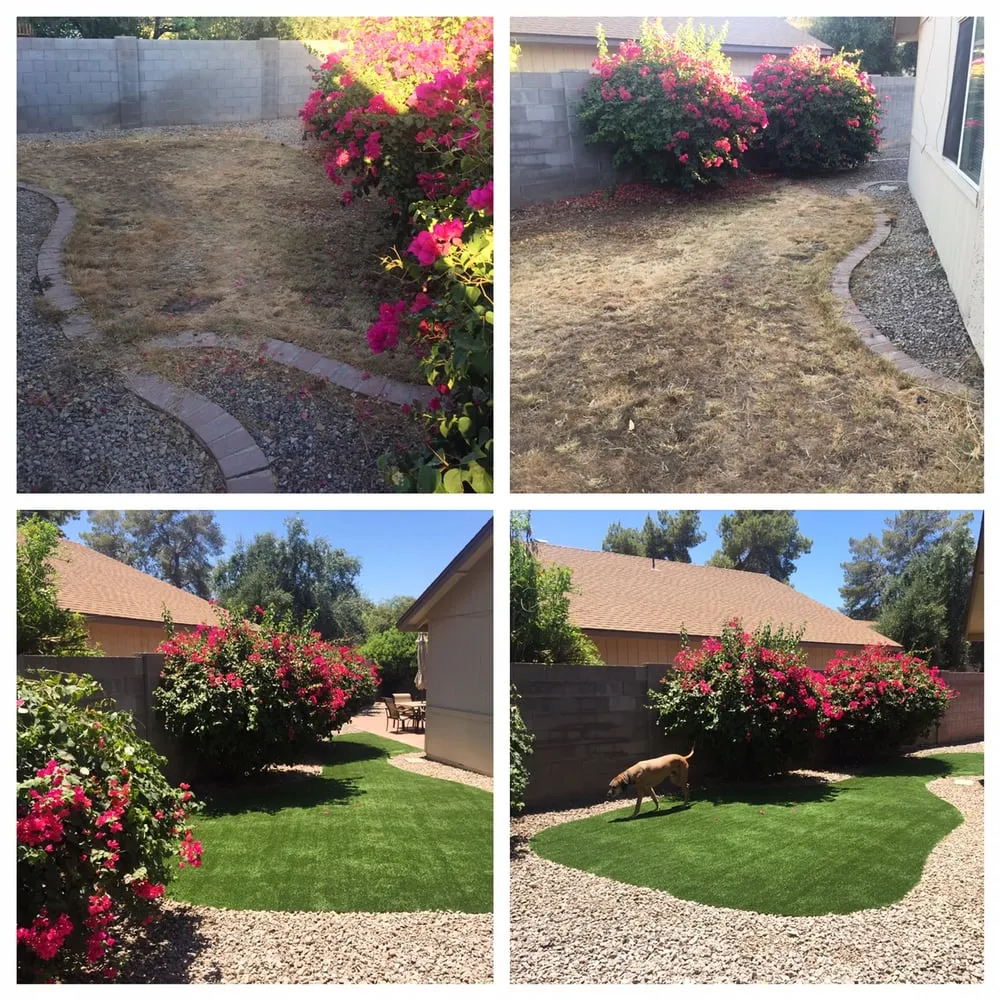 Local yard cleanup service near you in Mesa, AZ by Earth Smart Design