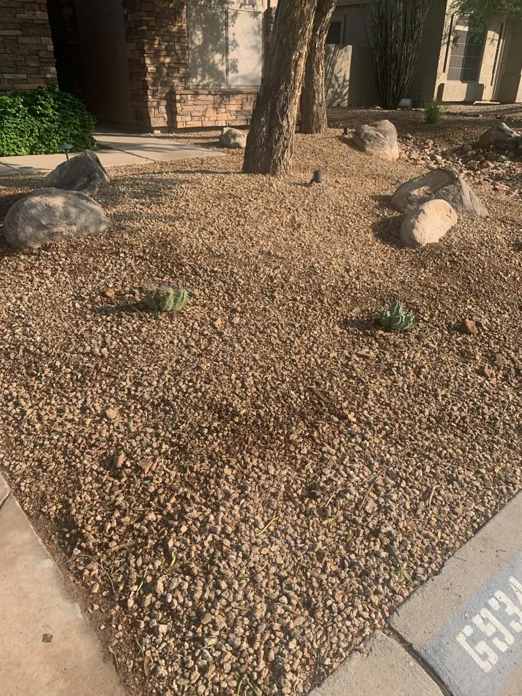 Top-rated lawn care service experts serving Mesa, AZ - Earth Smart Design