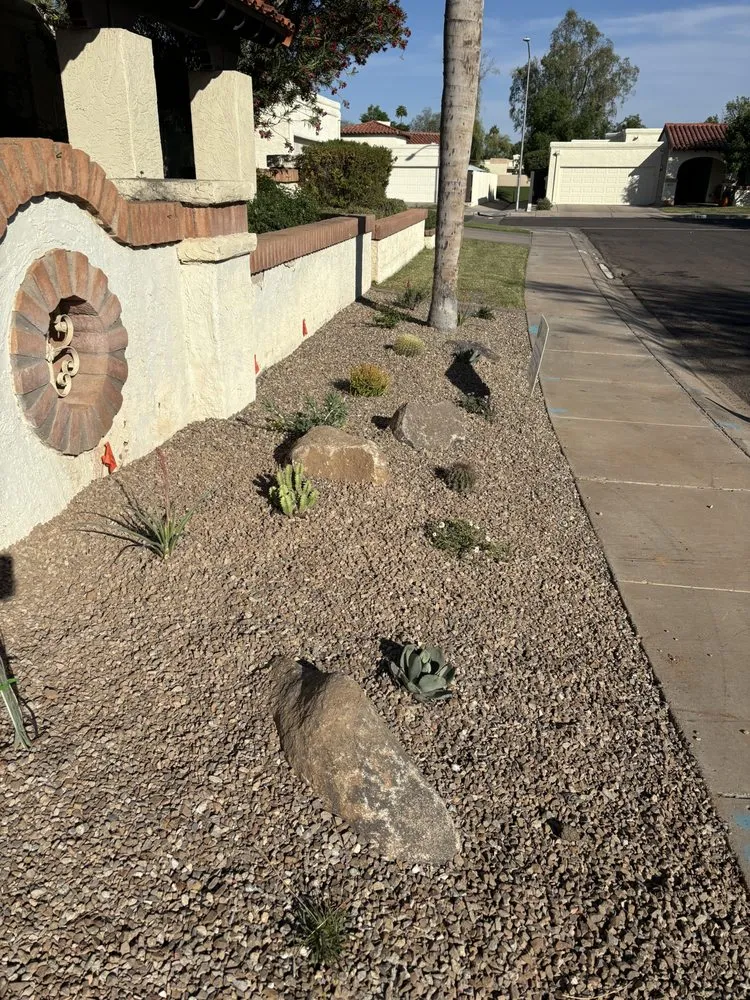 Top-rated lawn care service in Mesa, AZ - Earth Smart Design