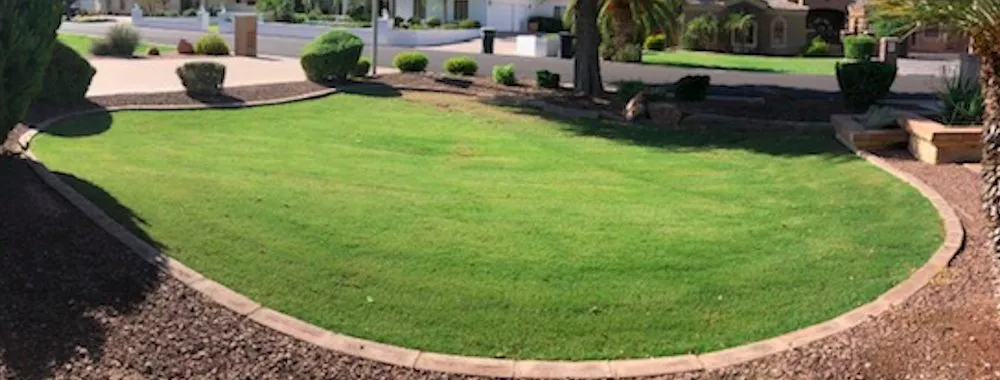Reliable outdoor landscaping experts serving Mesa, AZ - Earth Smart Design