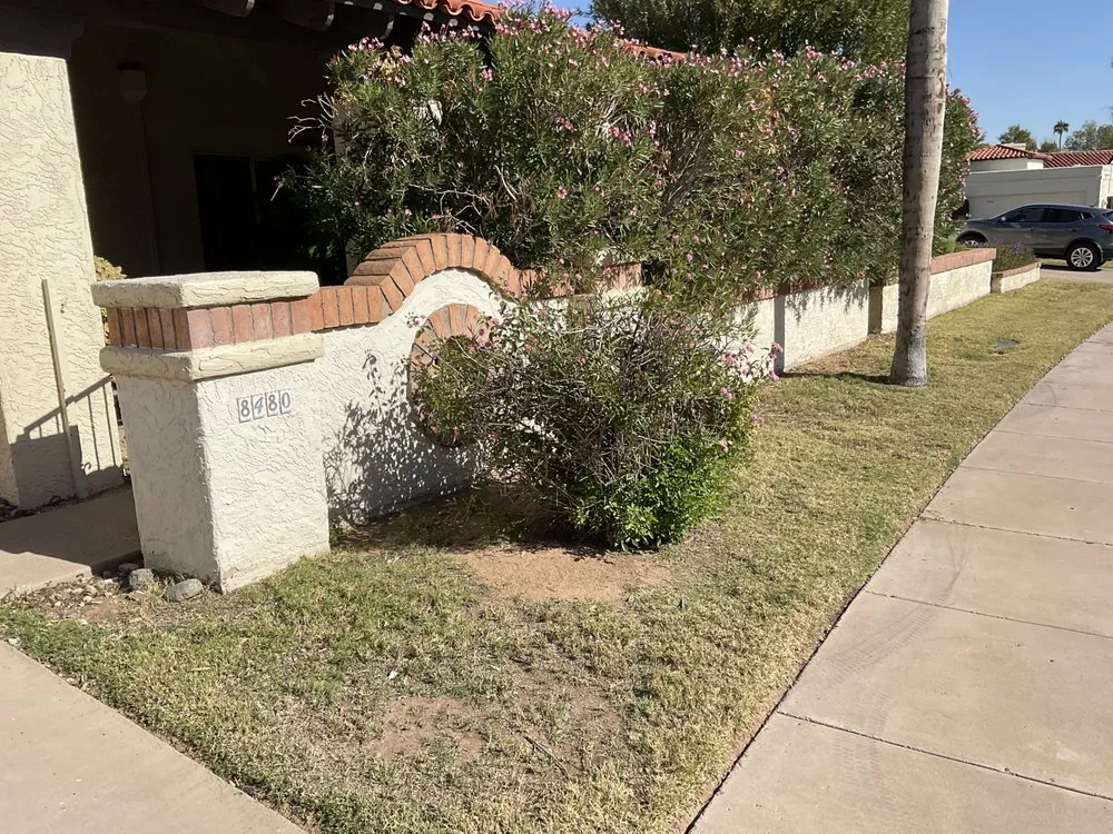 Expert outdoor landscaping for homes in Mesa, AZ by Earth Smart Design