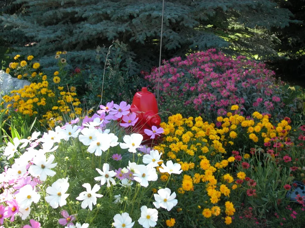 Local yard cleanup service experts serving Avon, CO - Earth Songs Gardening