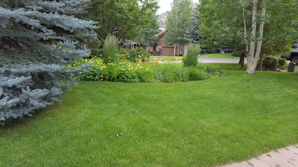 Affordable lawn care service for homes in Avon, CO by Earth Songs Gardening