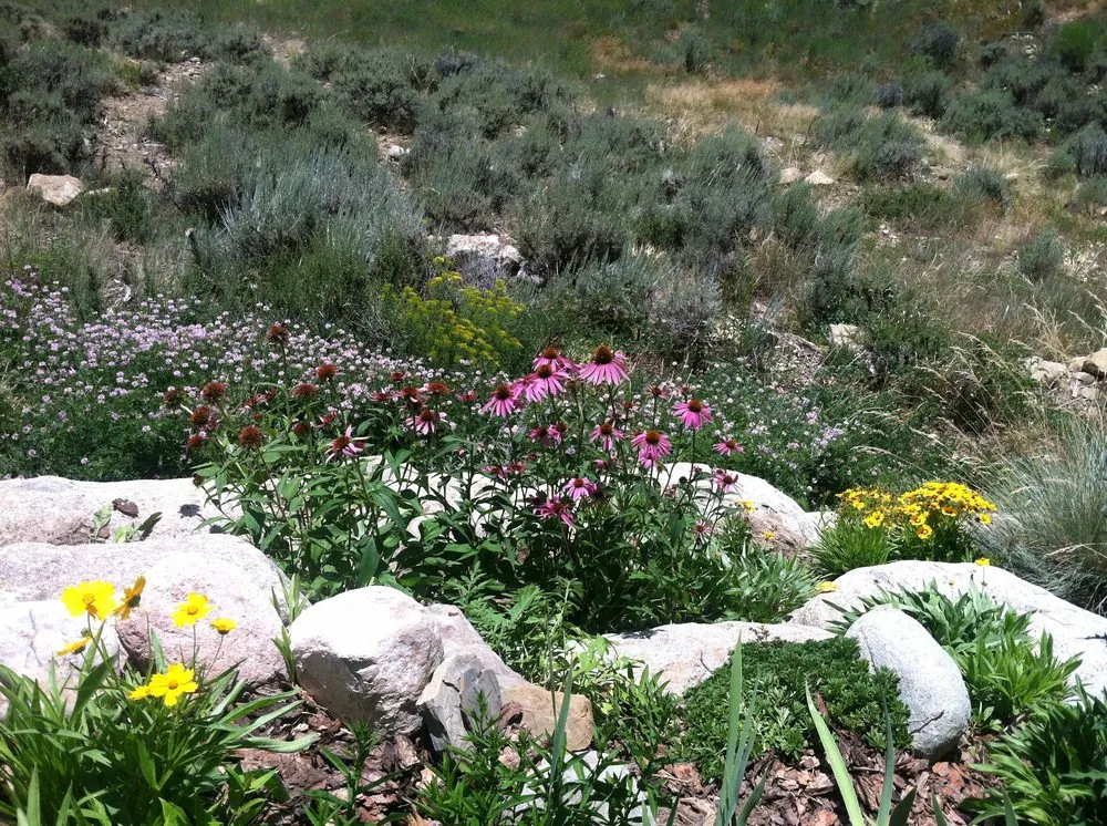 Top-rated yard maintenance for beautiful yards across Avon, CO - Earth Songs Gardening