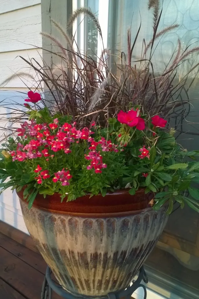 Affordable lawn care service for residential properties in Avon, CO by Earth Songs Gardening