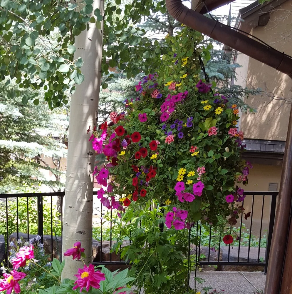 Local landscape design in Avon, CO by Earth Songs Gardening