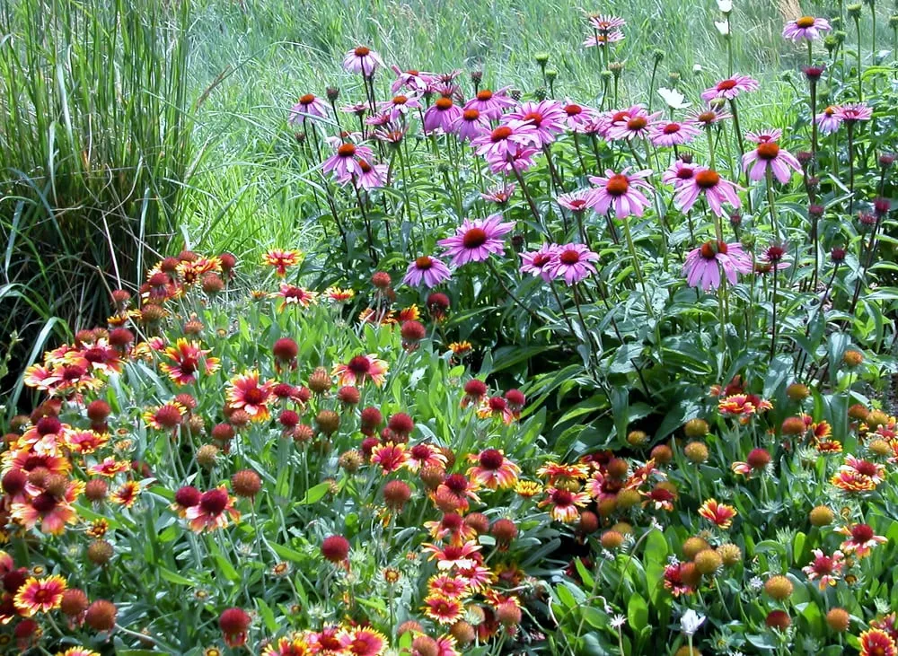 Custom landscape design for outdoor upgrades across Avon, CO - Earth Songs Gardening