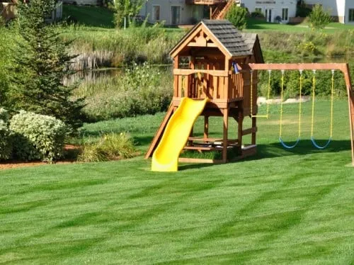 Expert lawn care service experts serving Avon, CO - Earth Songs Gardening