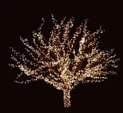 Trusted landscape design in Avon, CO - Earth Songs Gardening