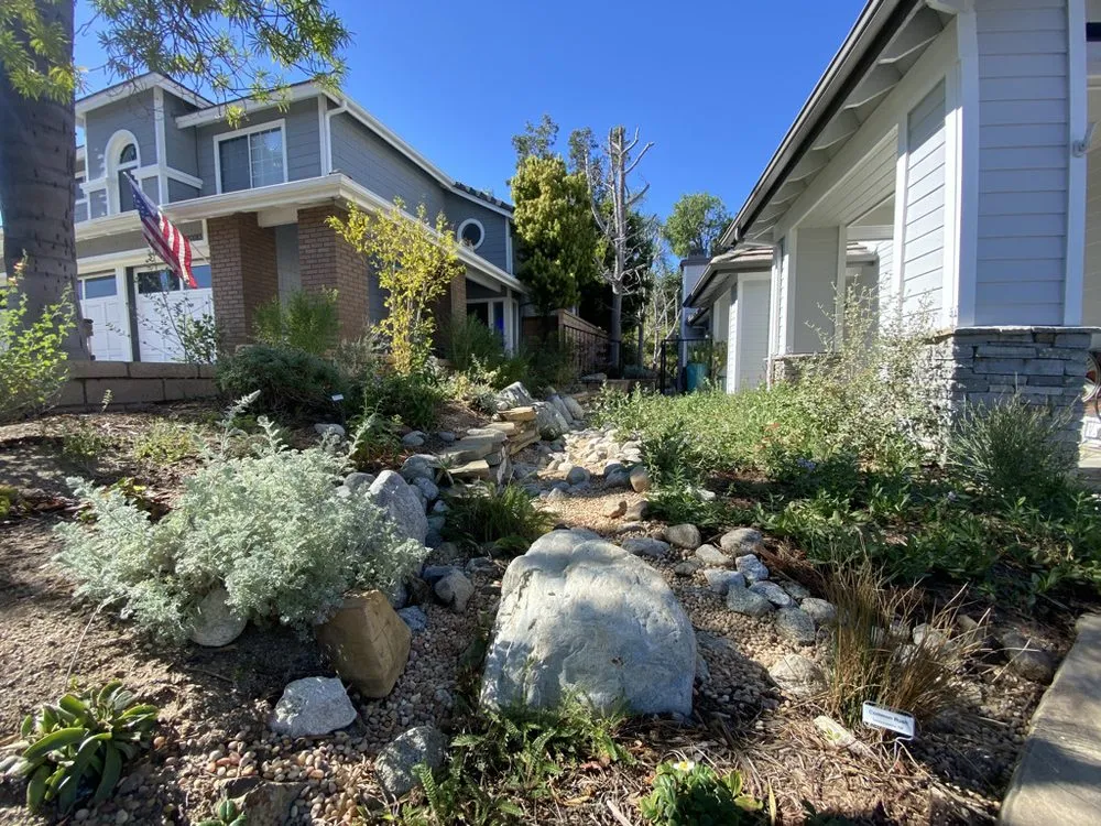Affordable garden landscaping for residential properties in Long Beach, CA by Earth Steward Ecology