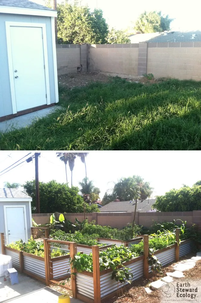 Expert landscape design experts serving Long Beach, CA - Earth Steward Ecology