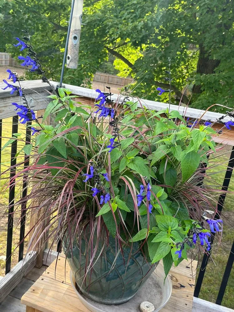 Custom landscaping services for outdoor upgrades in Grand Haven, MI by Earth Stewards Lawn and Garden Services