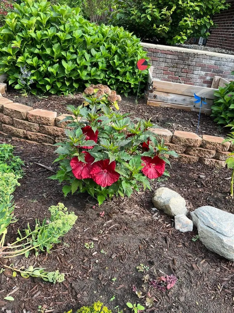 Affordable lawn mowing service in Grand Haven, MI by Earth Stewards Lawn and Garden Services