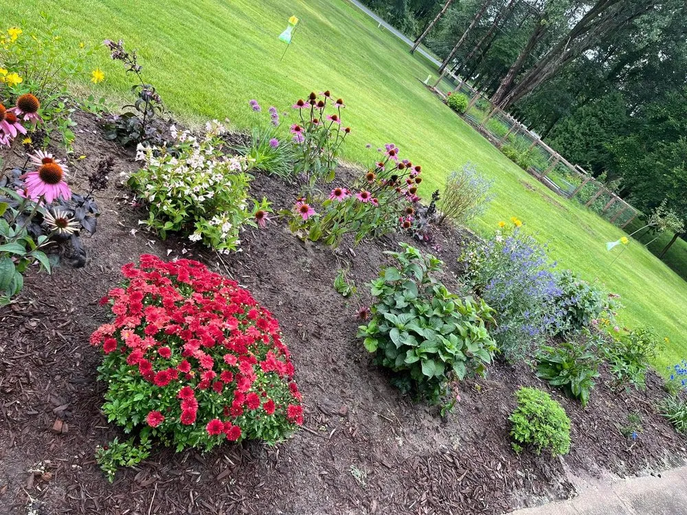 Professional yard maintenance experts serving Grand Haven, MI - Earth Stewards Lawn and Garden Services