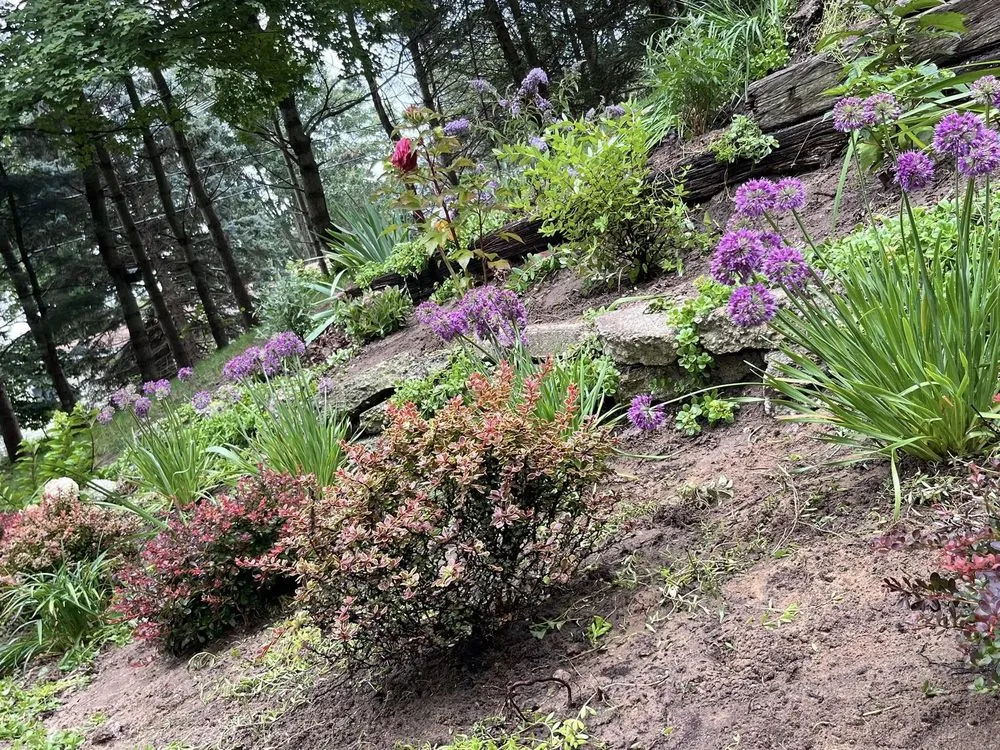 Affordable residential landscaping in Grand Haven, MI - Earth Stewards Lawn and Garden Services