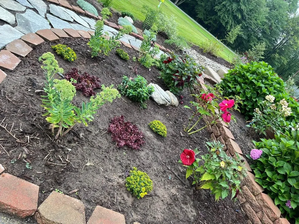 Affordable lawn care service in Grand Haven, MI - Earth Stewards Lawn and Garden Services