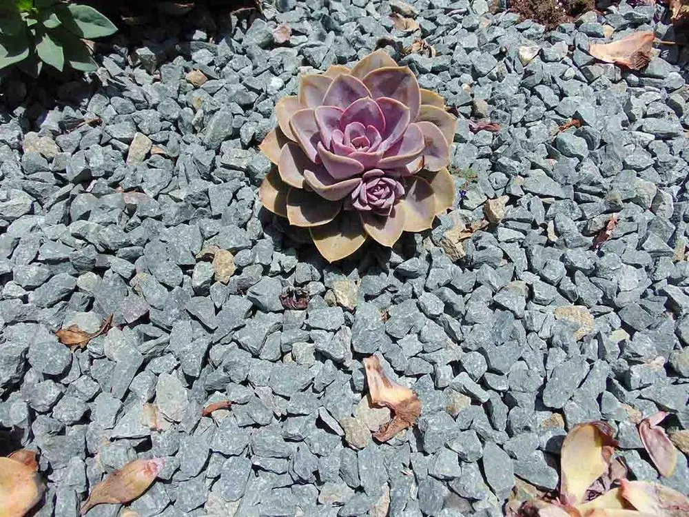 Trusted lawn mowing service in Lancaster, CA - Earth Stone & Rock