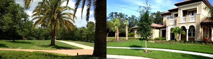 Top-rated residential landscaping for outdoor upgrades across Plant City, FL - Earth-Tech Property Solutions