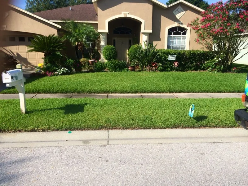 Trusted residential landscaping experts serving Plant City, FL - Earth-Tech Property Solutions
