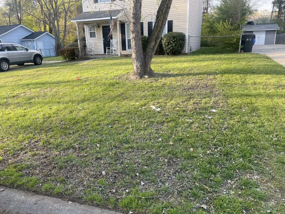 Professional residential landscaping in Charlotte, NC by Earth tending lawn care