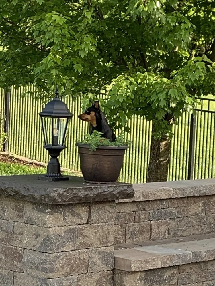 Top-rated lawn mowing service experts serving New Cumberland, PA - Earth Tones Hardscape