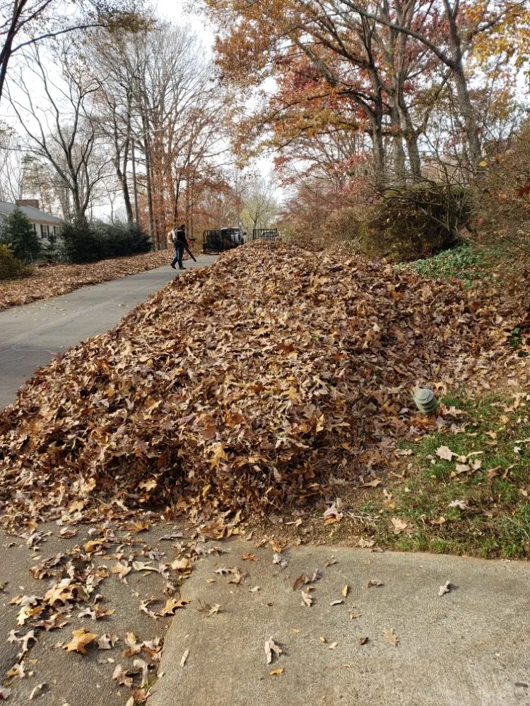 Top-rated yard cleanup service near you across Clemmons, NC - Earth Trends lawn and landscaping