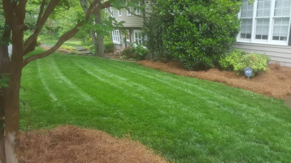 Local landscaping services experts serving Clemmons, NC - Earth Trends lawn and landscaping