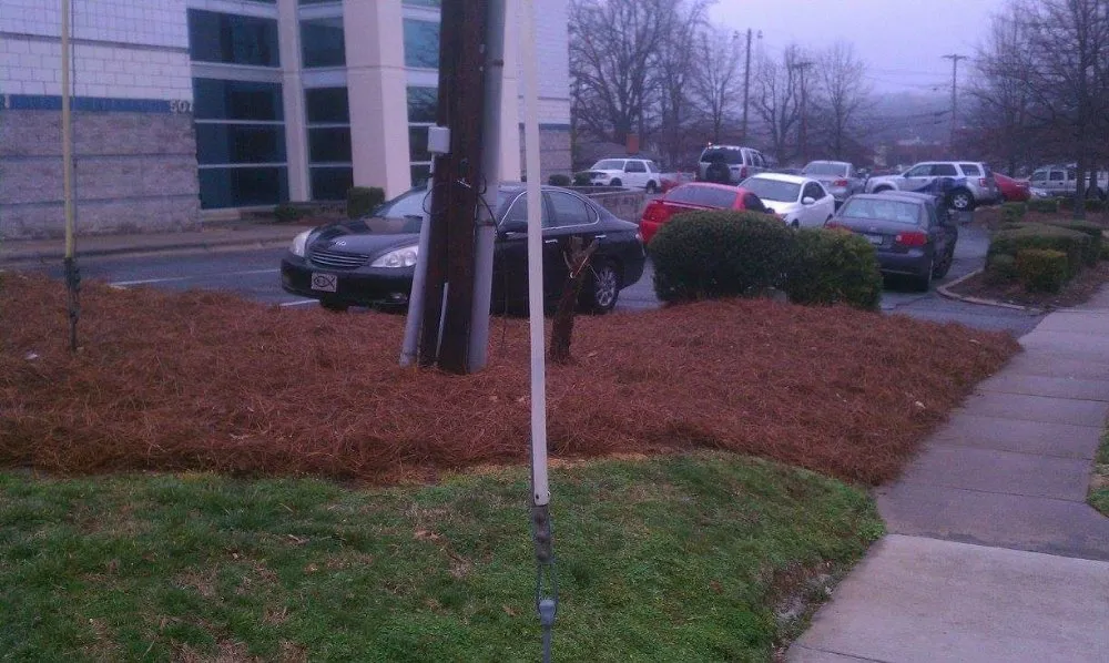 Affordable yard maintenance in Clemmons, NC - Earth Trends lawn and landscaping