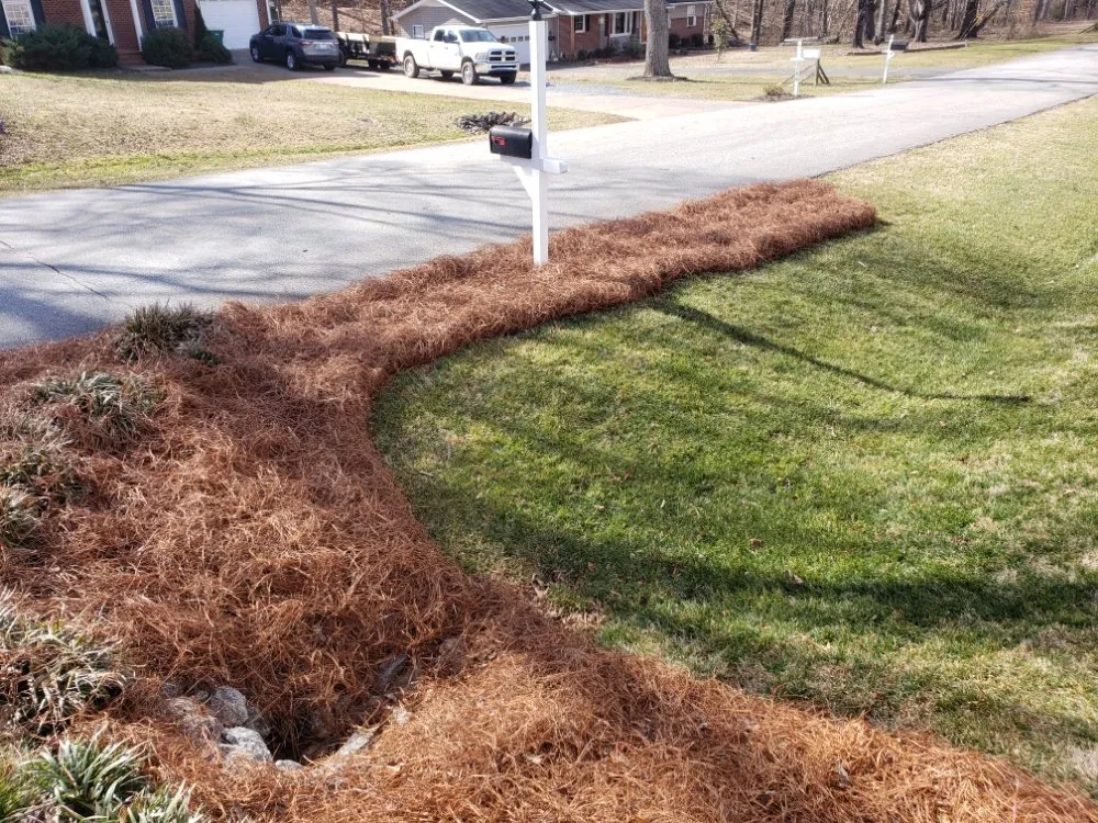Local residential landscaping experts serving Clemmons, NC - Earth Trends lawn and landscaping