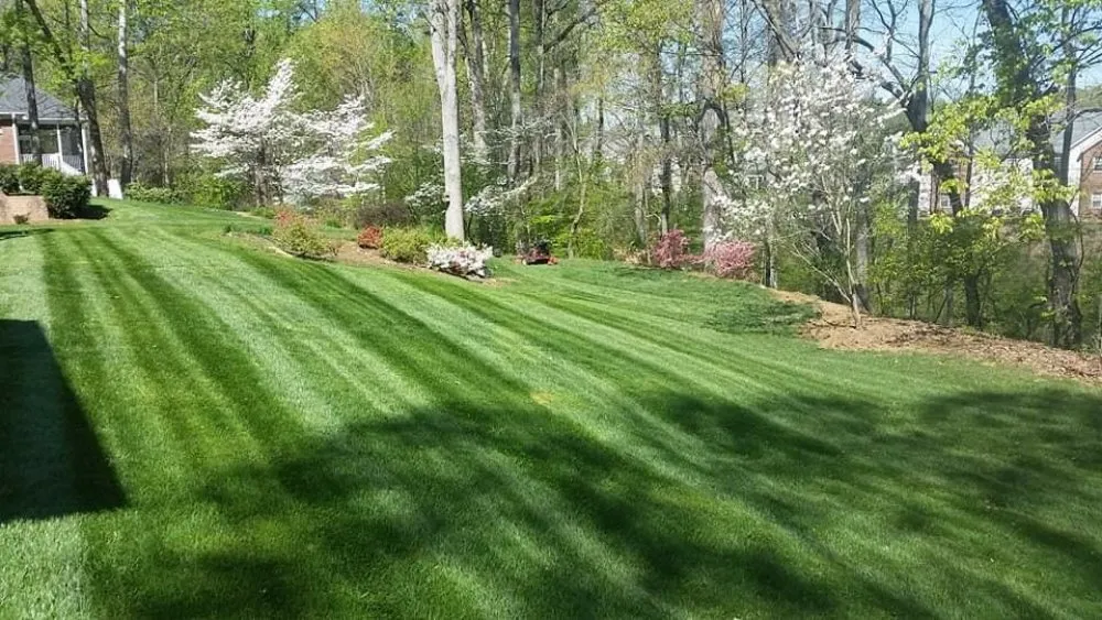 Reliable outdoor landscaping with custom design across Clemmons, NC - Earth Trends lawn and landscaping
