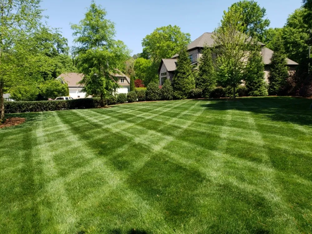 Professional lawn care service in Clemmons, NC - Earth Trends lawn and landscaping