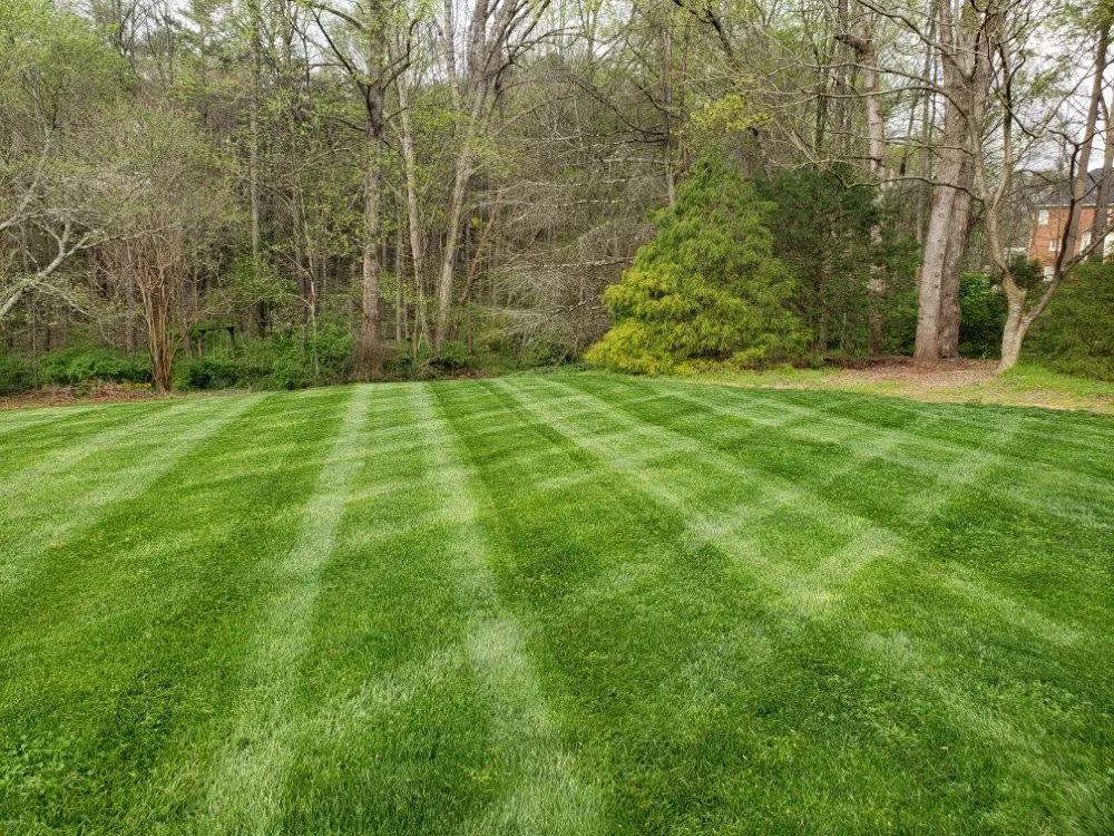 Custom landscape design for year-round maintenance in Clemmons, NC by Earth Trends lawn and landscaping