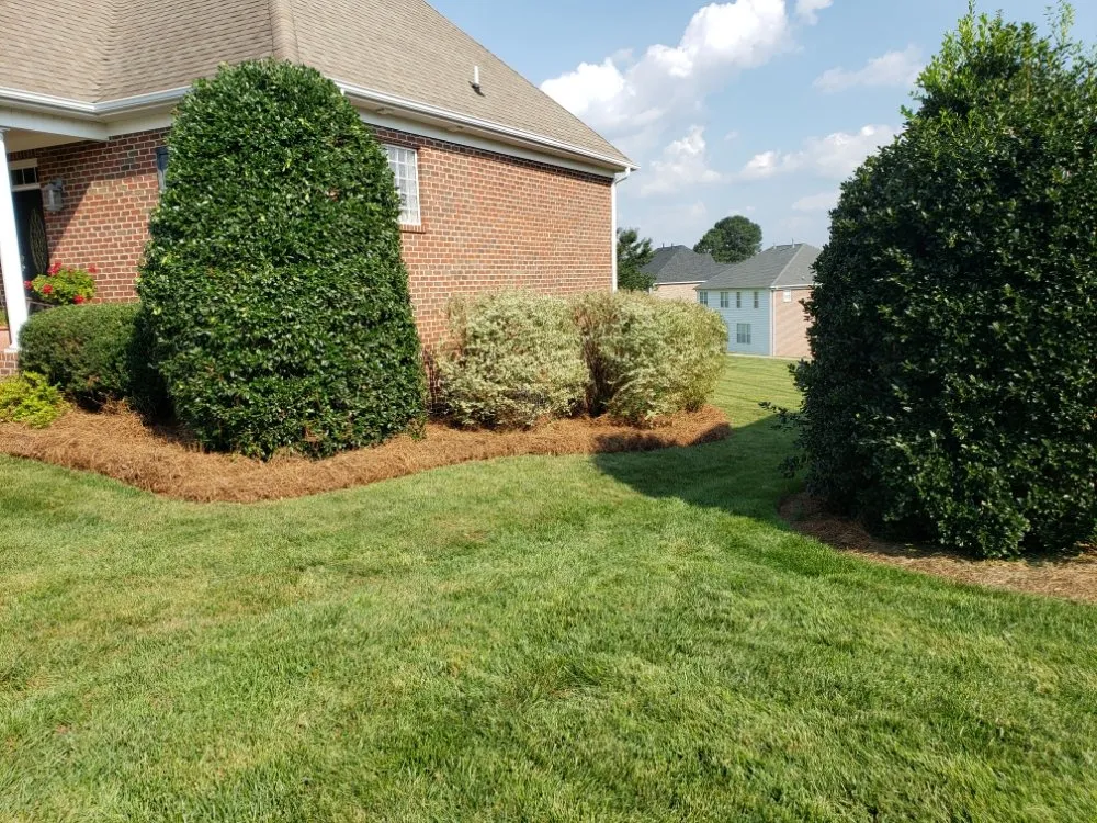 Professional lawn care service in Clemmons, NC - Earth Trends lawn and landscaping