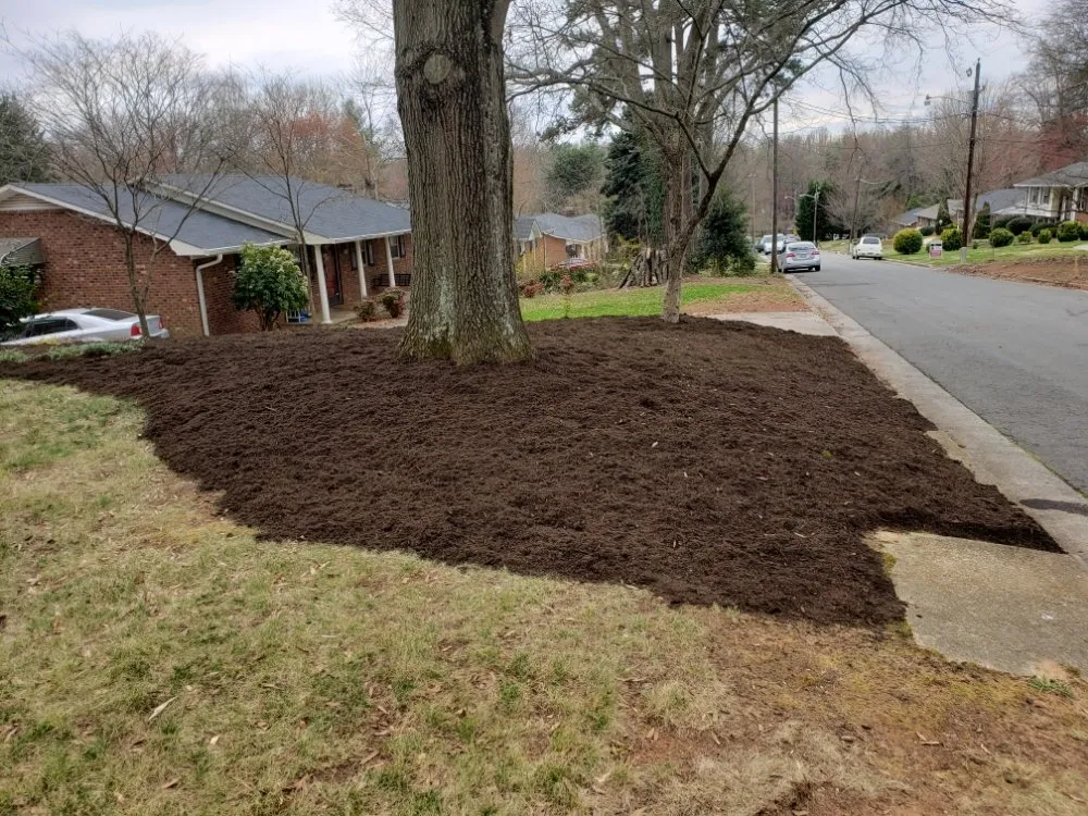 Professional garden landscaping experts serving Clemmons, NC - Earth Trends lawn and landscaping