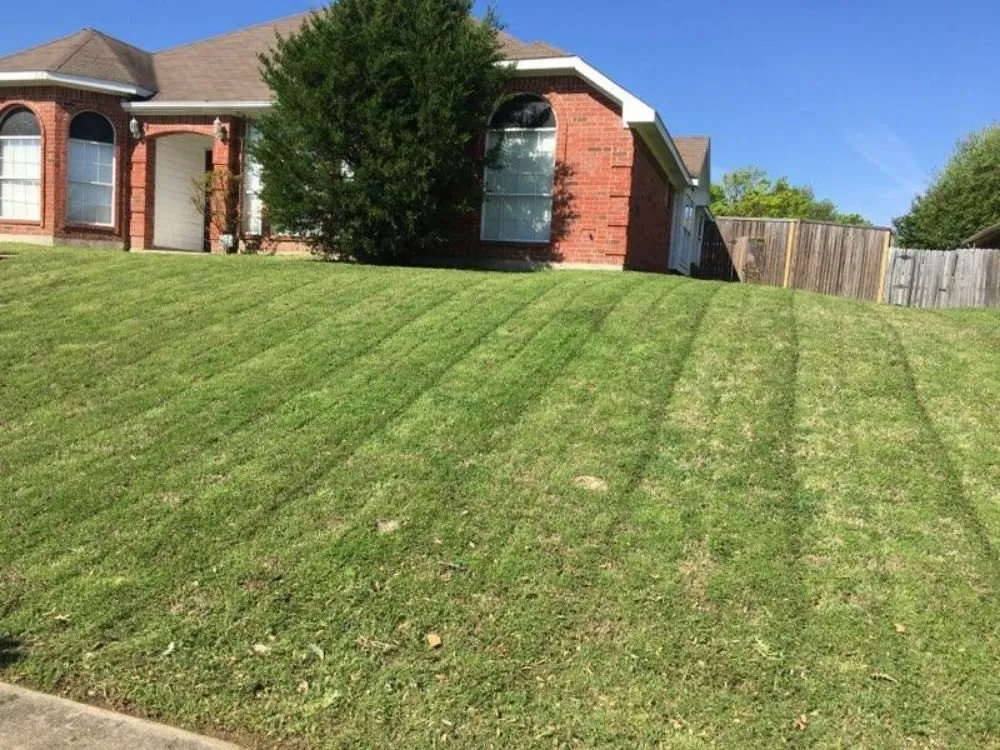 Affordable yard cleanup service with custom design across DeSoto, TX - Earth Trimmers Lawn Care Services