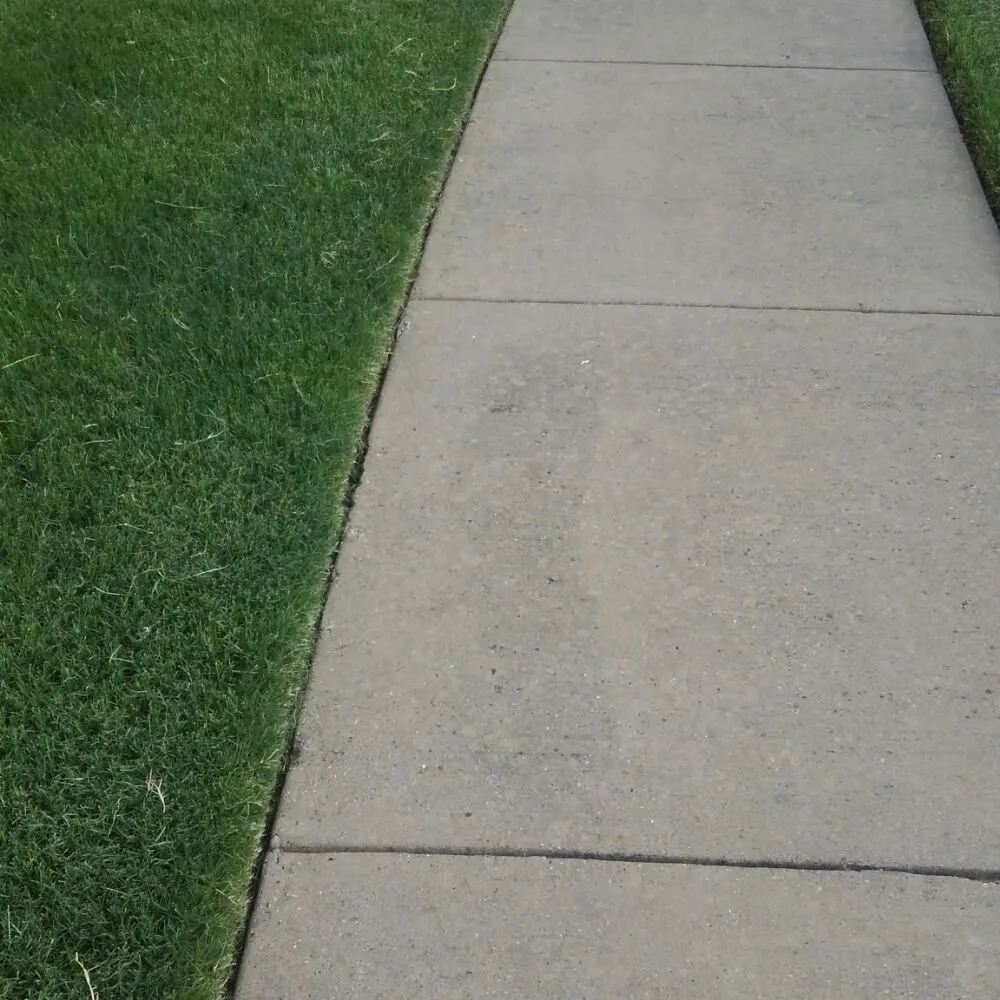 Affordable lawn care service for year-round maintenance in DeSoto, TX by Earth Trimmers Lawn Care Services