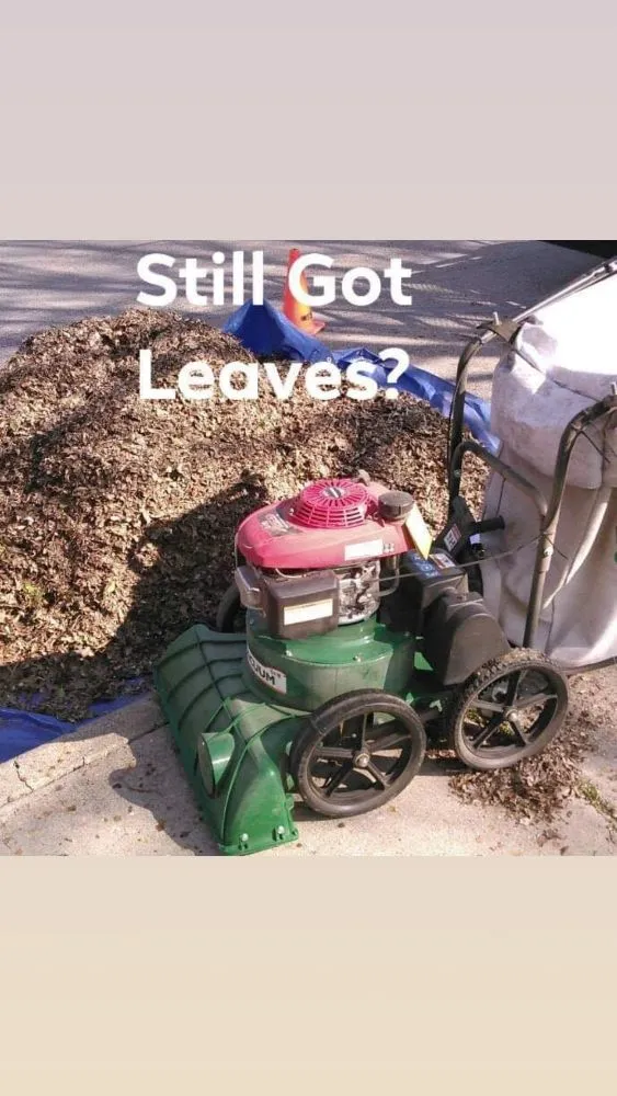 Top-rated outdoor landscaping in DeSoto, TX by Earth Trimmers Lawn Care Services