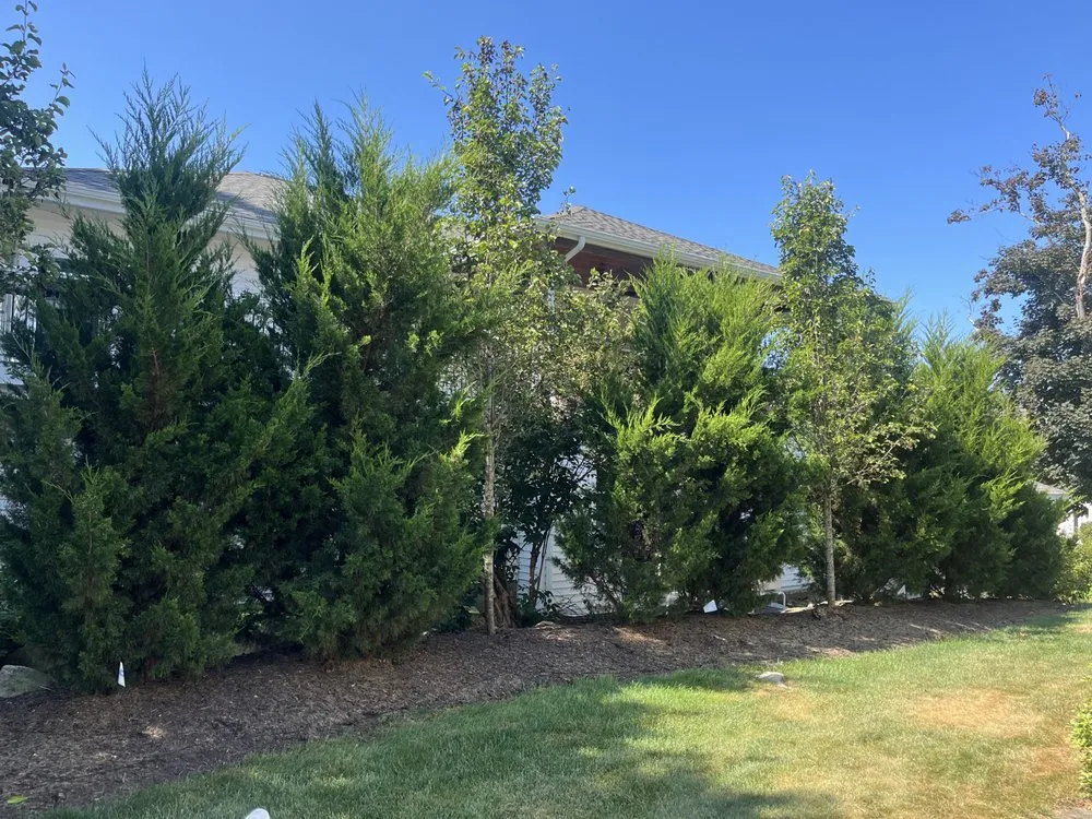 Custom landscaping services for year-round maintenance across Mystic, CT - Earth, Turf, & Snow