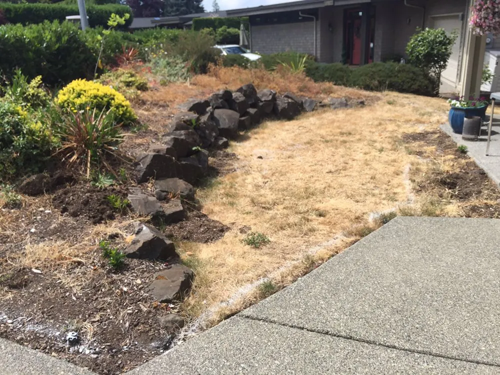 Top-rated landscaping services for beautiful yards across Lakewood, WA - Earth Water & Stone