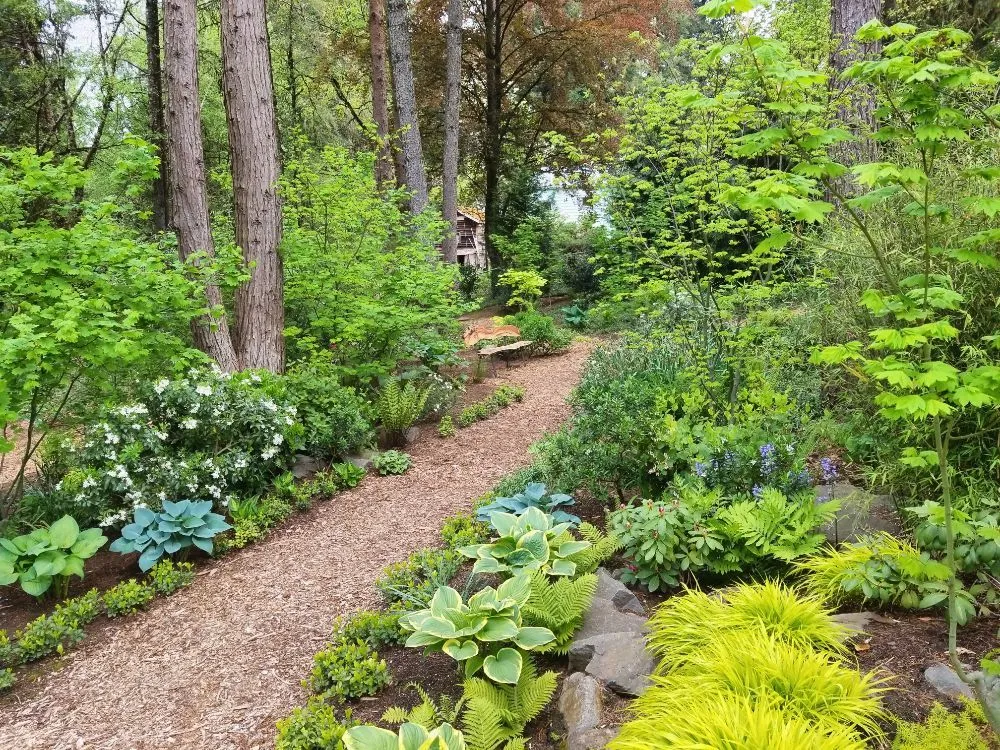 Affordable residential landscaping experts serving Portland, OR - Earth, Water & Wood